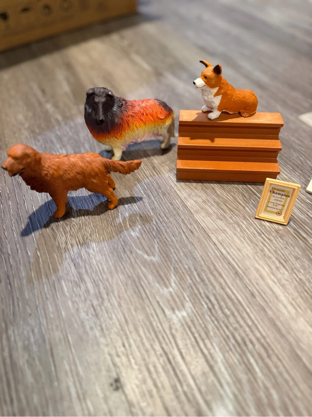 Small Pets Dog Training Playset - Orange, Cream, Black